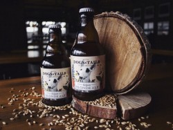 Oak Dry Stout и Belgian Blond Ale - новинки от киевской Лесопилки