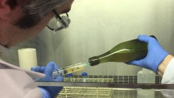 В Атлантическом океане найдена бутылка возрастом 125 лет