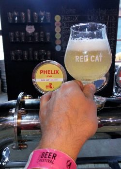 Tommy и Phelix - новинки от Red Cat Craft Brewery