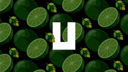 Lime Saison - новый сорт от Underwood Brewery