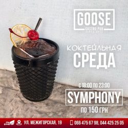 Symphony и настойки в Goose Gastro Pub