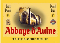 Дегустация пива Abbaye d'Aulne Triple blonde